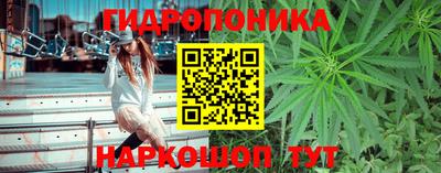 молекула духа Ливны