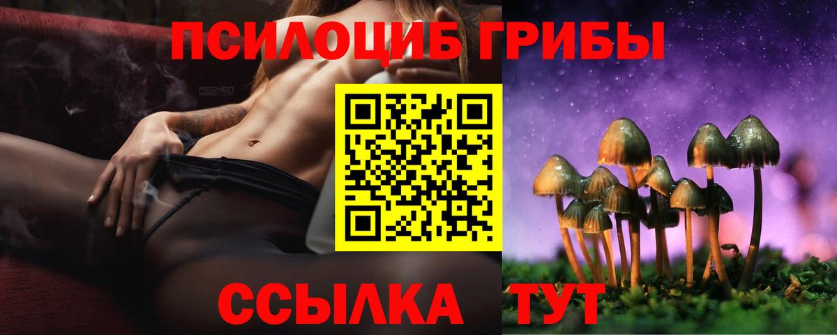 Галлюциногенные грибы Psilocybe Борисоглебск